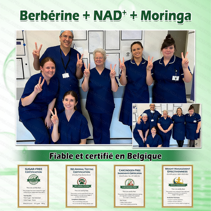 Boutique officielle 🏆🏆 𝐆𝐋𝐎𝐑𝐄𝐍𝐃𝐀® Moringa · Berbérine + NAD+ – Patch Microneedle Nano Avancé 10-en-1 (1×/jour, résultats visibles en 7 jours) | Obésité, relâchement cutané, apnée du sommeil, articulations, etc.